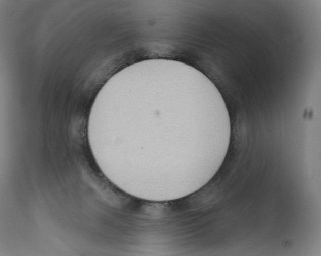 X0000110700079200907101231