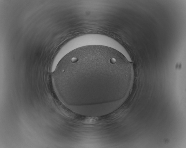 X0000110700080200907101231