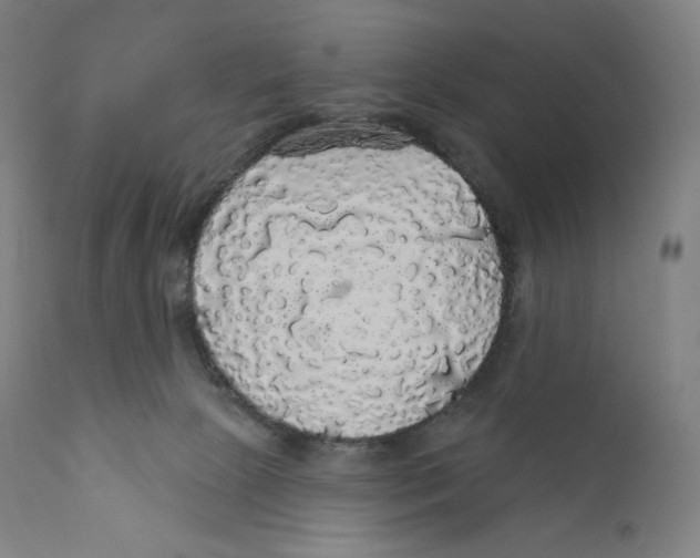 X0000110700081200907101231
