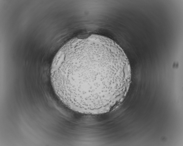 X0000110700082200907101231