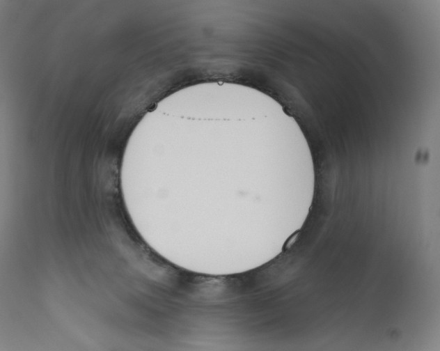 X0000110700083200907101231