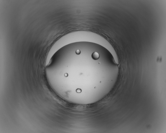 X0000110700084200907101231