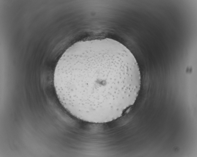 X0000110700085200907101231