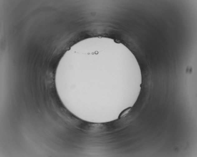X0000110700087200907101231