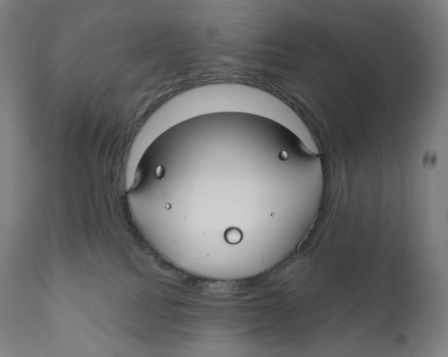 X0000110700088200907101231