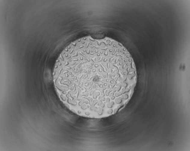 X0000110700089200907101231