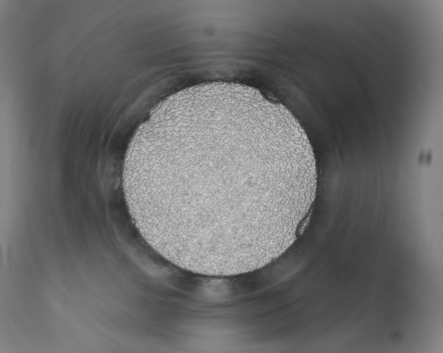 X0000110700091200907101231