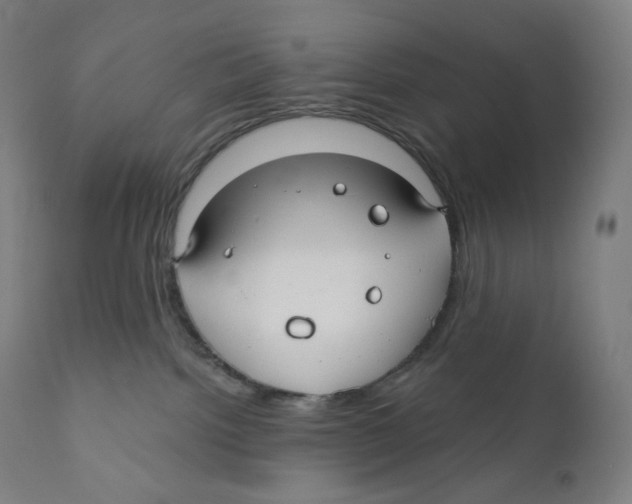 X0000110700092200907101231