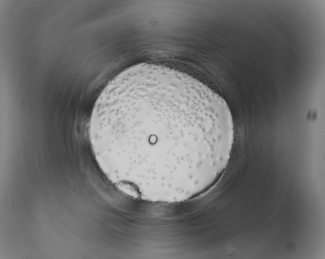 X0000110700094200907101231