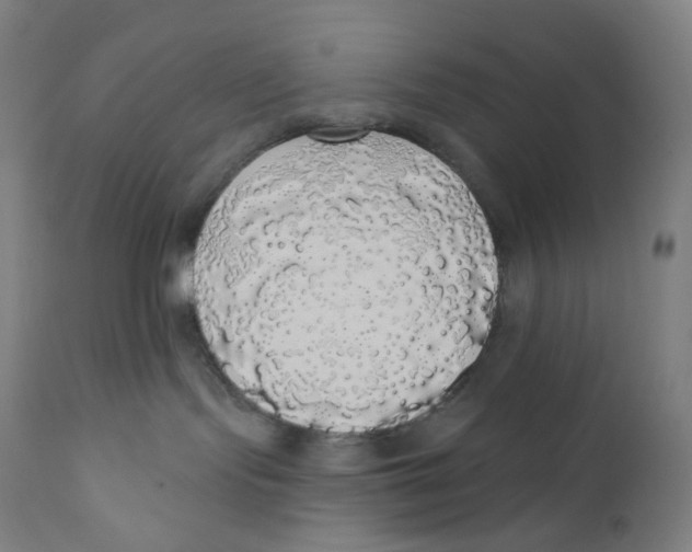 X0000110700095200907101231