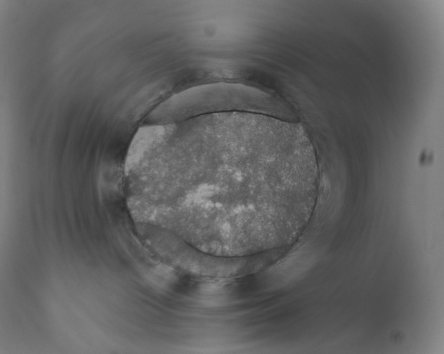 X0000110700096200907101231