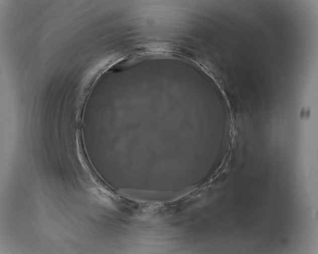X0000110700097200907101230