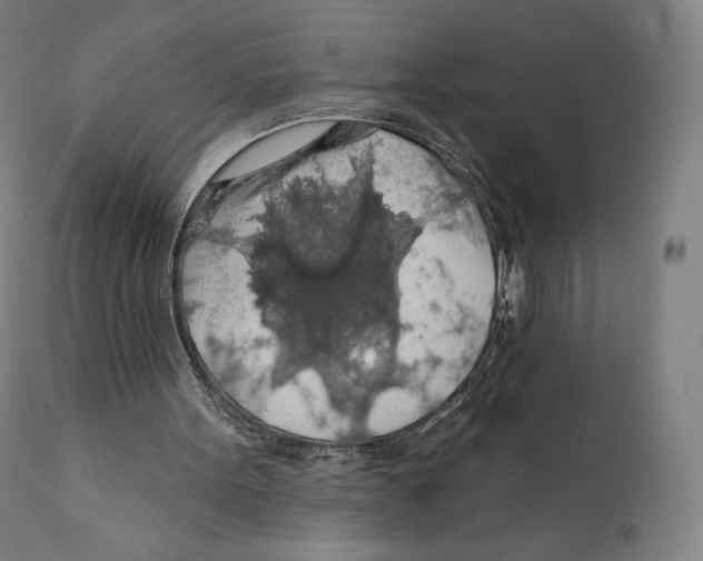X0000110700099200907101230