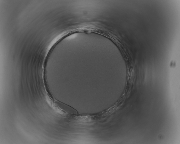X0000110700100200907101230