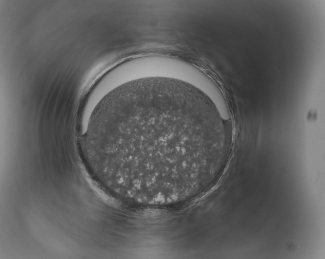 X0000110700101200907101230