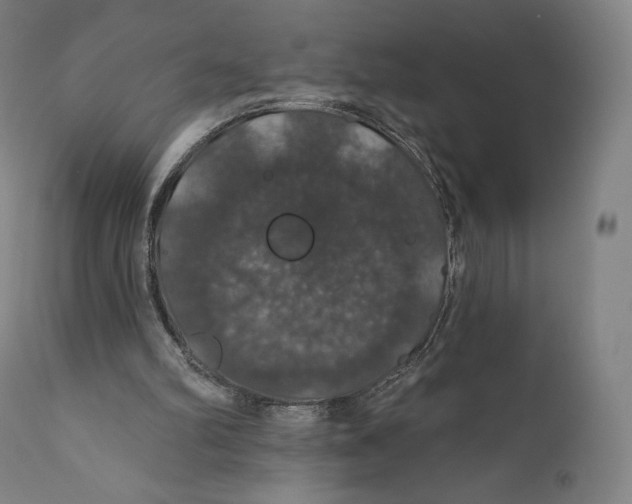 X0000110700102200907101230