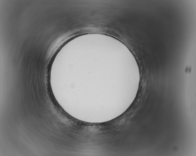 X0000110700103200907101230