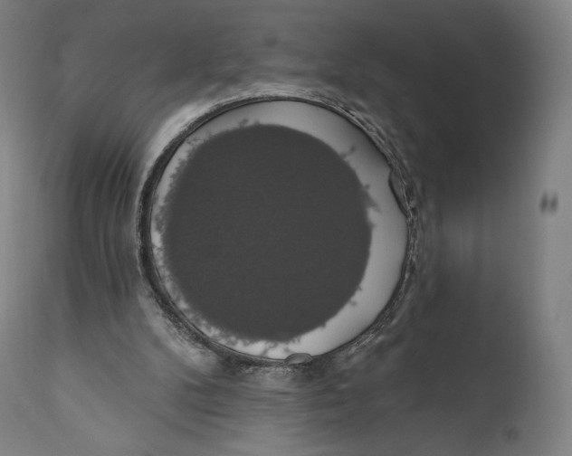 X0000110700104200907101230