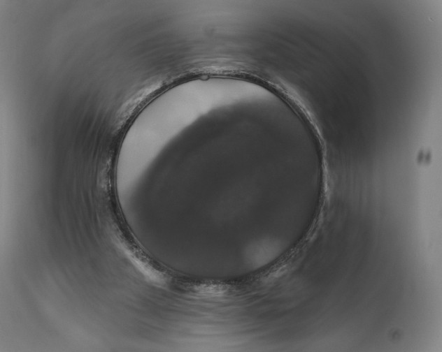 X0000110700105200907101230