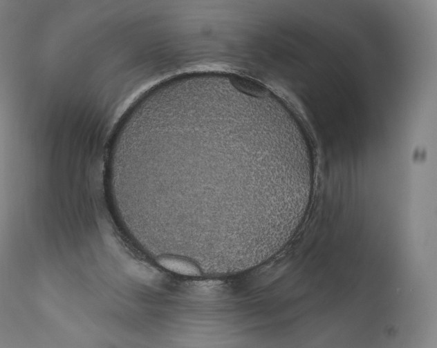 X0000110700108200907101230