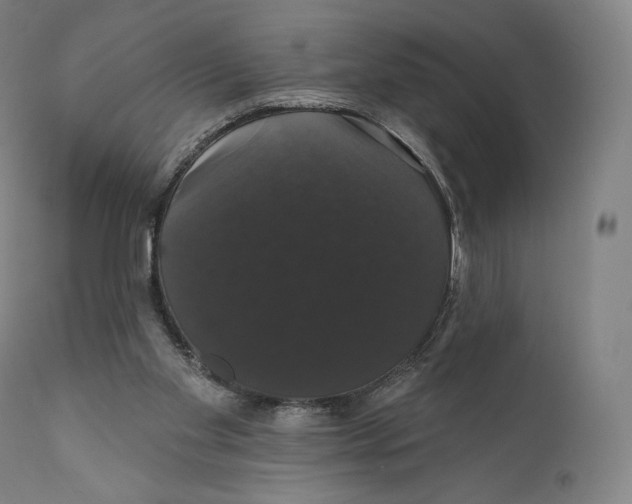 X0000110700109200907101230