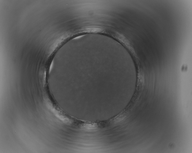 X0000110700110200907101230