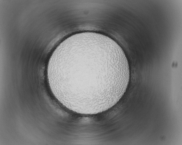 X0000110700111200907101230