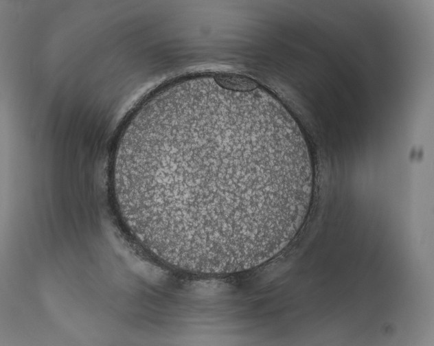 X0000110700112200907101230