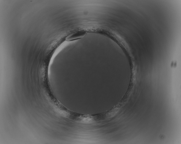 X0000110700113200907101230