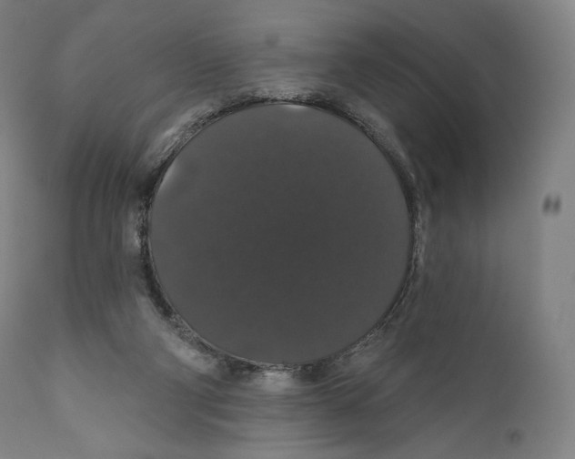 X0000110700114200907101230