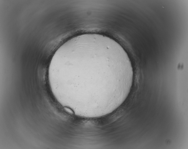 X0000110700115200907101230