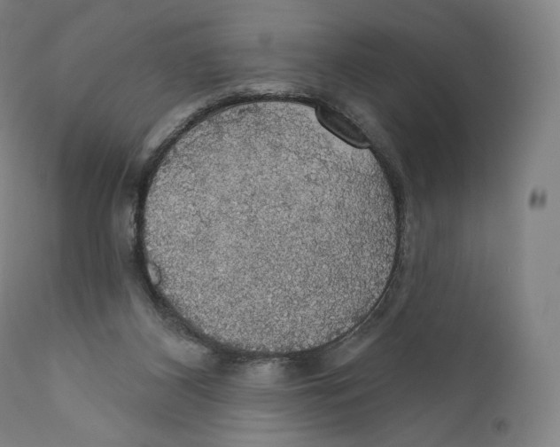 X0000110700116200907101230