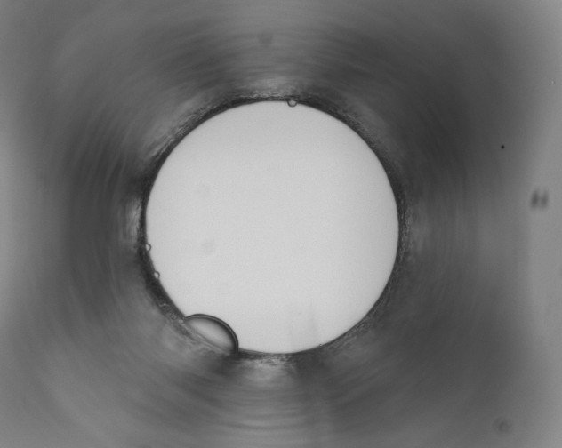 X0000110700118200907101230