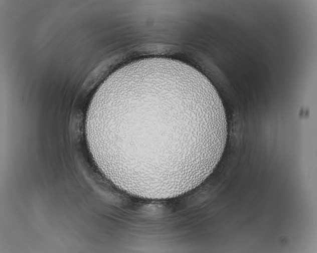 X0000110700119200907101230