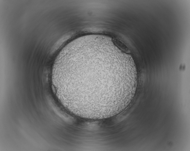X0000110700120200907101230