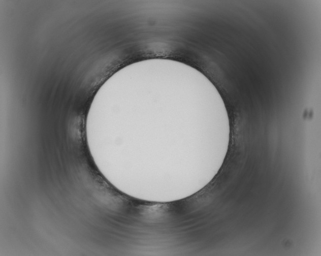 X0000110700122200907101230