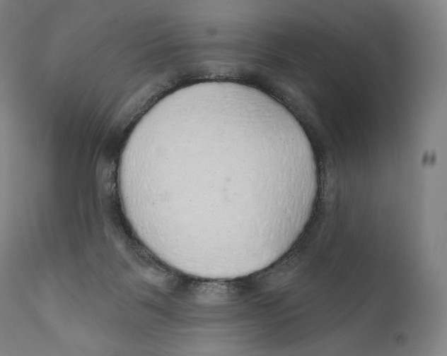 X0000110700123200907101230