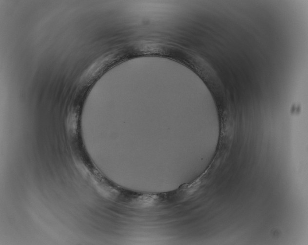 X0000110700124200907101230