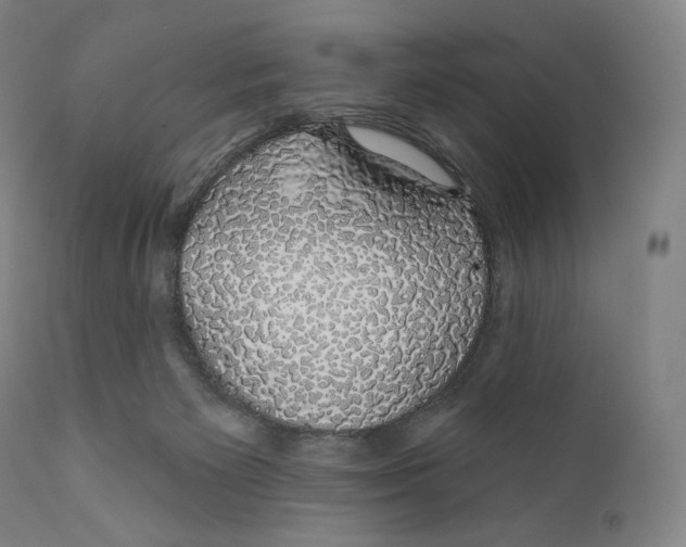 X0000110700125200907101230