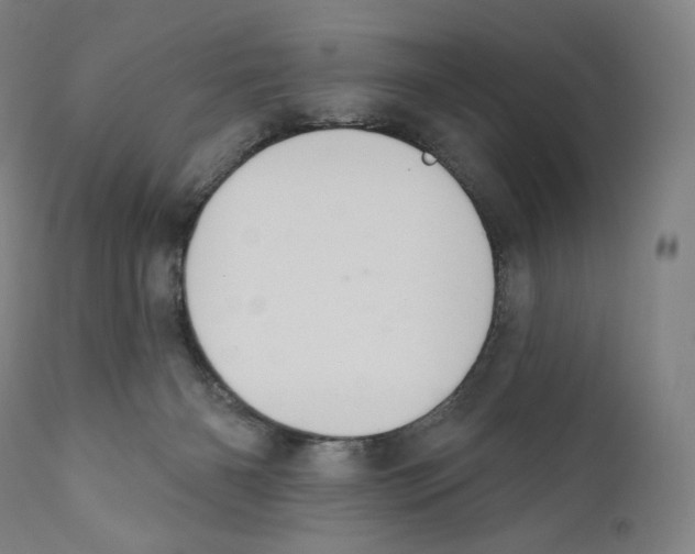 X0000110700126200907101230