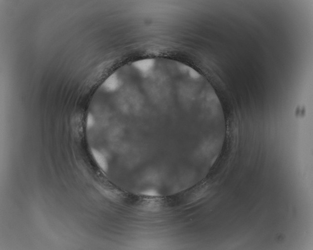 X0000110700127200907101230
