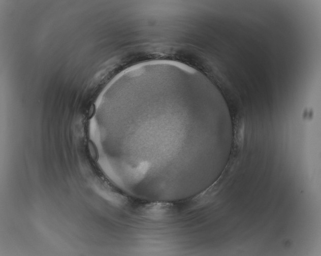 X0000110700128200907101230