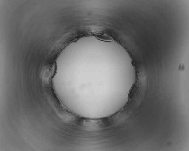 X0000110700129200907101230