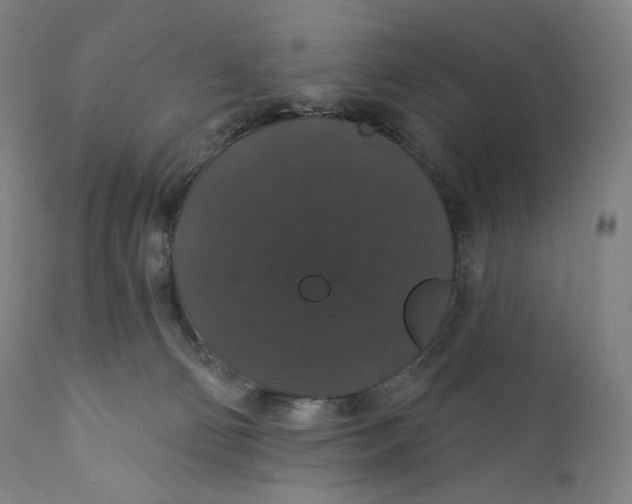 X0000110700130200907101230