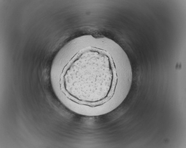 X0000110700131200907101230