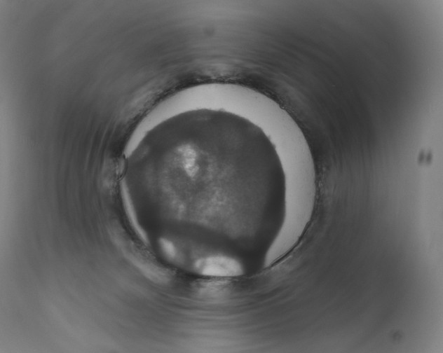 X0000110700132200907101230