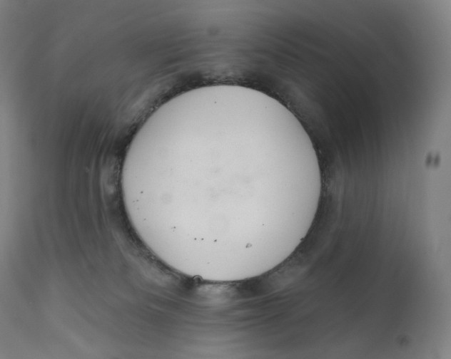 X0000110700133200907101230