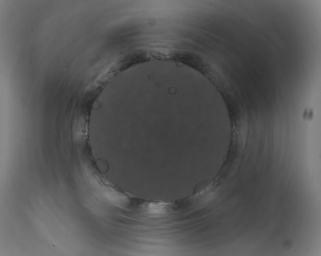 X0000110700134200907101230