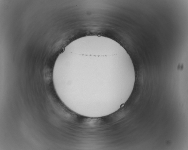 X0000110700135200907101230