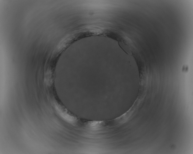 X0000110700136200907101230